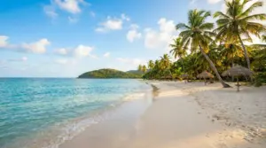 Spiaggia tropicale con sabbia chiara, palme e mare calmo sotto cielo sereno
